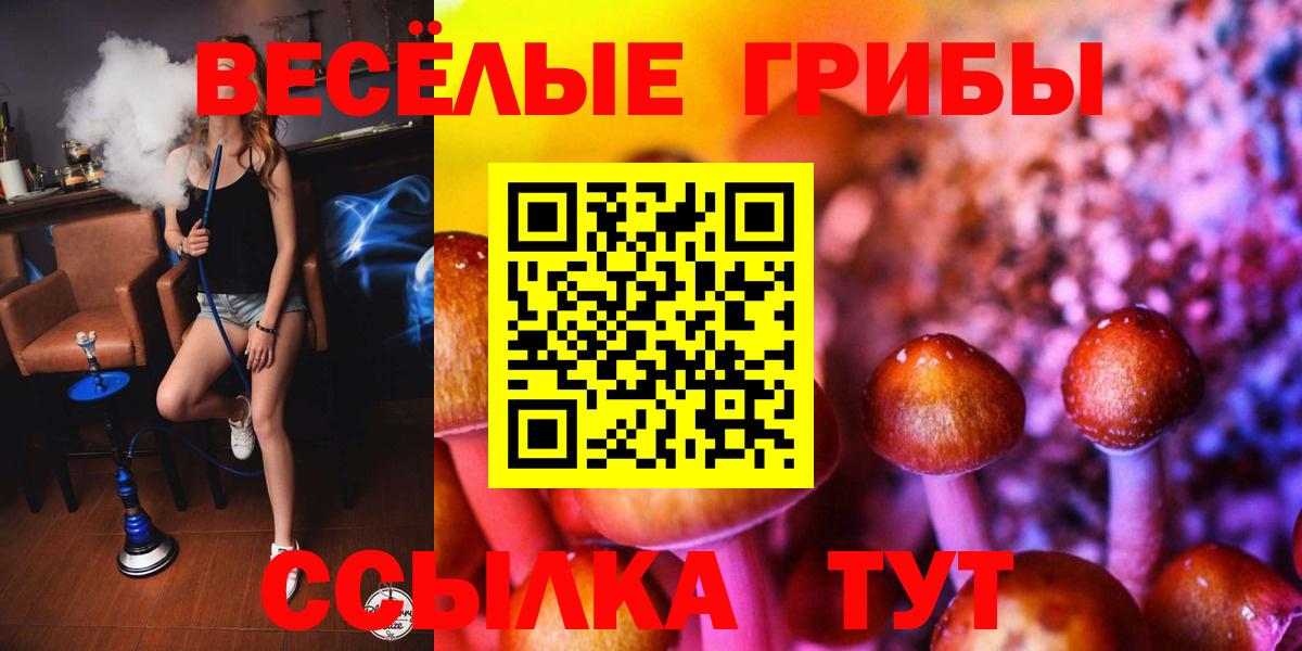 Псилоцибиновые грибы ЛСД Ярославль